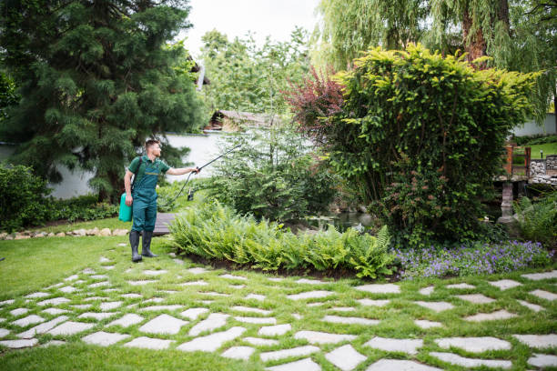Best Emergency Pest Control  in Cordova, AK