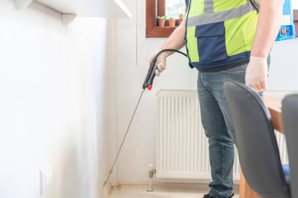 Best Termite Control Services  in Cordova, AK